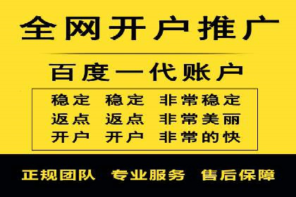 信息流广告的精准定位与效果优化案例分析